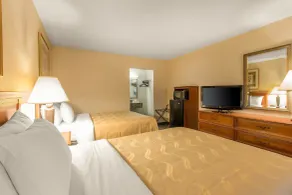 Quality Inn & Suites McDonough South I-75 - Chambre