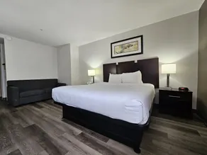 Quality Inn & Suites Lexington South - Chambre
