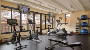 Landmark Condos 2 Bedroom In Lionshead Village - Gym