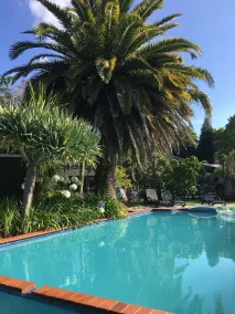 Colonial House Motel - Piscina