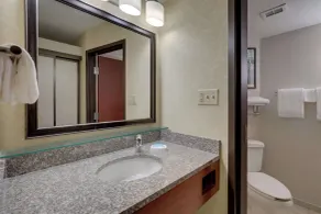 Drury Inn & Suites Charlotte University Place - Salle de bain
