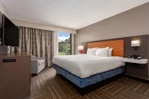 Hampton Inn Bristol - Chambre