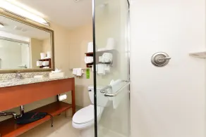 Hampton Inn Detroit/Auburn Hills South - Salle de bain