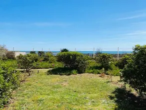 Apartamento apto para niños con jardín y piscina | Vistas a la piscina | Al lado de la playa | Admite perro - Vistas desde la habitación