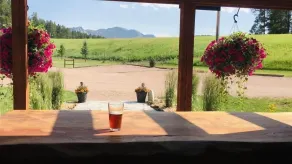 Black Elk Resort - Reception