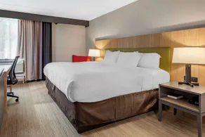 Comfort Inn & Suites Liverpool - Syracuse North - Chambre