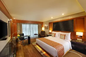 Gokulam Grand Hotel & Spa Bangalore - View from room