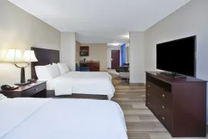 Holiday Inn Express Niles by IHG - Rom