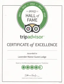 Lavender Manor Guest Lodge - Reception