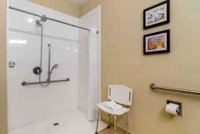 Comfort Inn & Suites Griffin North - Salle de bain