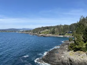 SookePoint Ocean Cottage Resort - Vue de la chambre