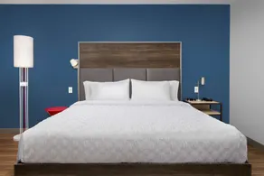 Tru by Hilton Orangeburg - Chambre
