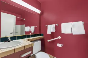 Econo Lodge Fallon Naval Air Station Area - Bathroom