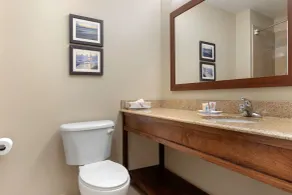 Comfort Inn & Suites Port Arthur-Port Neches - Salle de bain