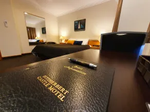 Fitzherbert Castle Motel - Room