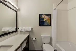Everhome Suites Temecula Wine Country - Badeværelse