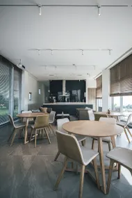 Sunlight On the Peninsula - Reception