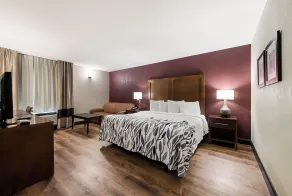 Red Roof Inn Newport News - Yorktown - Zimmer
