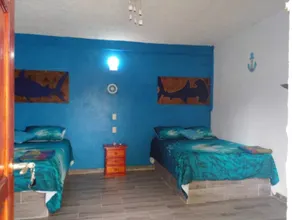 Hostal - Room