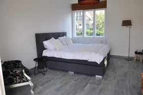 Tisza Topic - Quarto