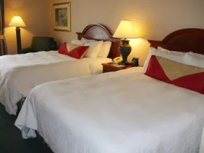 Hilton Garden Inn Columbus Airport - Habitación