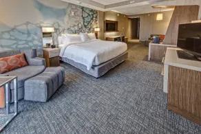 Courtyard by Marriott Westbury Long Island - Chambre
