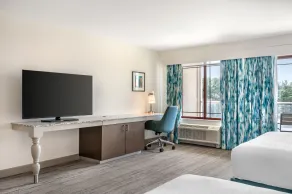 Hilton Garden Inn Wisconsin Dells - Chambre