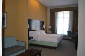 Holiday Inn Express & Suites Austin South by IHG - Chambre