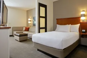 Hyatt Place Reno/Tahoe Airport - Chambre
