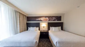 Embassy Suites by Hilton Phoenix Biltmore - Chambre