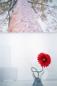 Ada Suites & Spa - Vue de la chambre