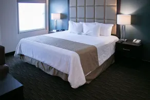 Best Western Plus Chihuahua Juventud - Chambre