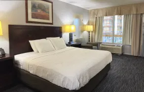 The Lodge Hotel and Banquets - Room