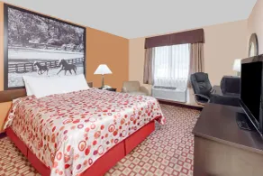 Super 8 South by Wyndham - Chambre