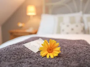 Bwthyn Bach - Room