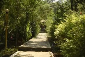 Wild Camp- The Nature Resort - Recepción