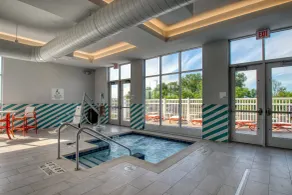 Holiday Inn - Appleton by IHG - Piscine