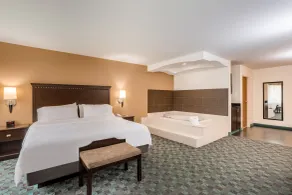 Holiday Inn Express Hotel & Suites Canton by IHG - Chambre