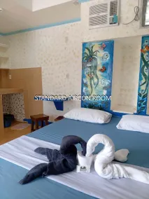 Daniela's Place - Room