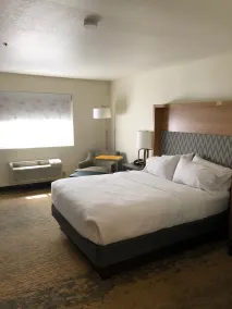 Holiday Inn Selma - Swancourt by IHG - Room