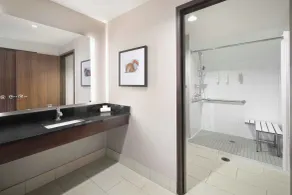 Hampton Inn & Suites Denver Downtown-Convention Center - Bathroom
