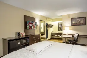 Red Roof Inn PLUS+ Chicago - Willowbrook - Chambre