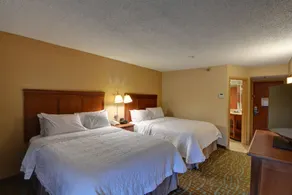 Hampton Inn Hendersonville - Chambre