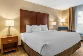 Comfort Inn PA Turnpike - I-81 - Chambre
