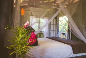 Island Plantation - Room