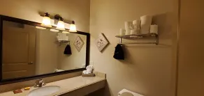 Best Western Plus Emory at Lake Fork Inn & Suites - Badeværelse