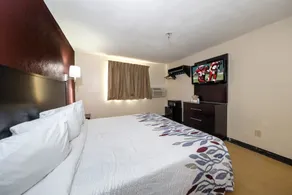 Red Roof Inn Jacksonville - Cruise Port - Chambre