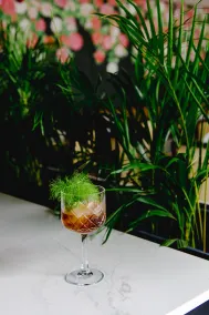 Canadiano Urban Nature Hotel - Restaurant