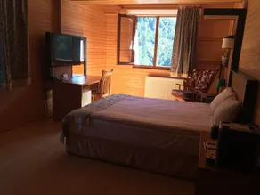 Ayder Doga Resort - Room