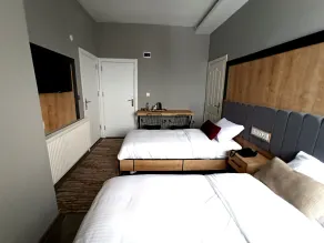 Dedem Hotel Express-Istanbul Airport - Chambre